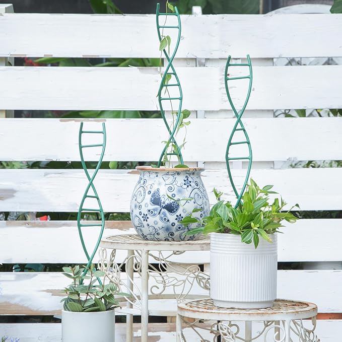 Indoor Plant Trellis for Potted Plants - Upgraded Metal Spiral Design for Climbing Plants, Durable Powder Coated Support for Small Houseplant Pots, Ideal for Indoor & Outdoor Use