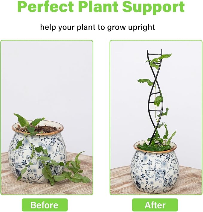 DNA Spiral Plant Trellis Indoor - Durable Metal Trellis for Potted Plants, Perfect for Small Houseplant Pots, Ideal for Ivy and Pothos, Space-Saving Vertical Support for Climbing Growth