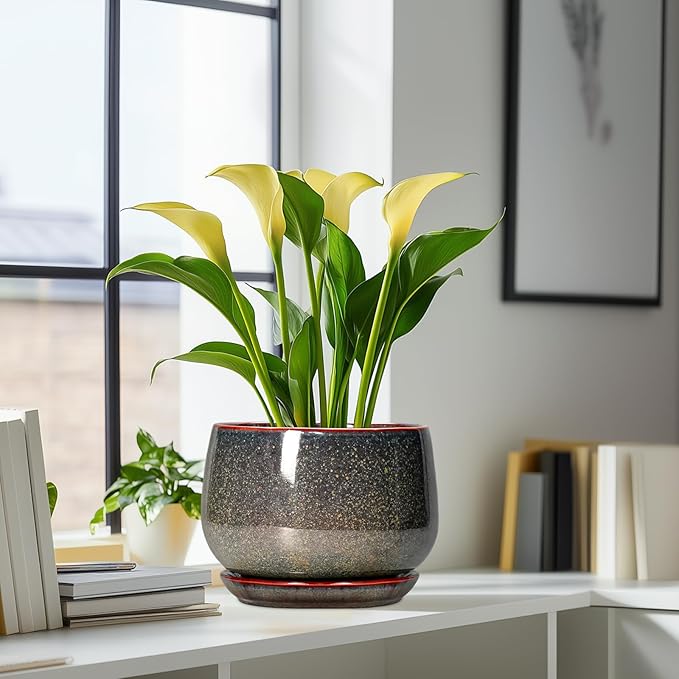 G EPGardening Ceramic Planters - 9 Inch Ceramic Pots for Plants Indoor Outdoor, Round Planter with Drainage and Saucer, Modern Indoor Flower Pots, House Room Decor, Gift for Women Men, Speckled Brown