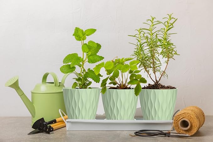 4 Inch Plant Pots, 6 Pack Indoor Flower Pots, Planters with Drainage Holes and Trays for Orchids, Violets, Succulents, Herbs, and Other Plants,Green
