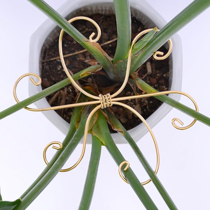 Monstera Plant Stem Support Set of 5 - Durable 7.5in Indoor Stabilizers for Fishbone Cactus - Enhances Growth & Home Decor - Ideal Plant Care Solution