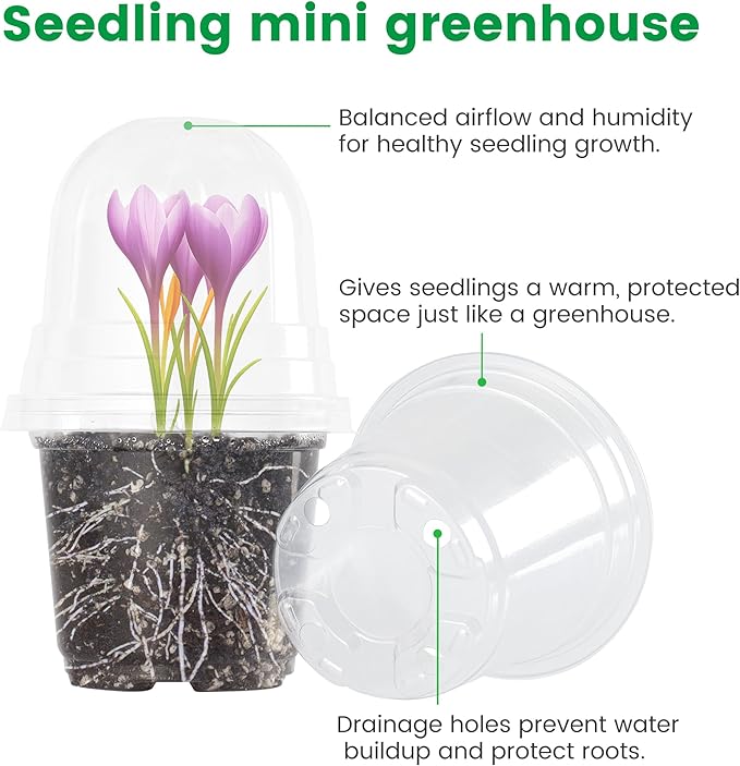 36 Packs 5/4/3.5 Inch Clear Nursery Pots with Humidity Domes, Transparent Plant Pots with Drainage Holes, Variety Pack Seedling Pots for Vegetable Propagation, Root Cutting, Seed Starting