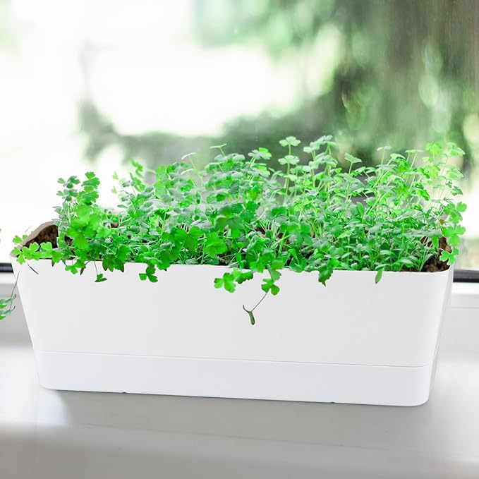 Window Box Planter with Tray, 12" Rectangle Plant Pot, Pack of 3 (White)