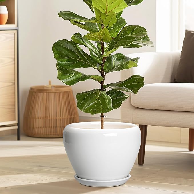 Ceramic Pot for Plants - 10 Inch Planter with Drainage Hole and Saucer, Glaze Modern Round Flower Pot for Indoor Plants, Housewarming Gift, Home Decor, White