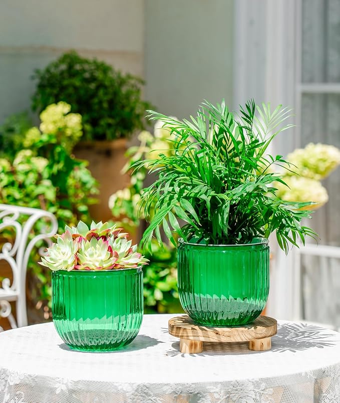 Melphoe Self Watering Pots for Indoor Plants Planter, 6.5 Inch 2 Pack Planters Self Watering Plant Pots for Flower, Houseplants, Succulent, African Violets and Cactus with Drainage