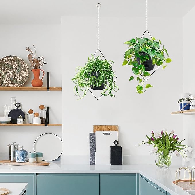 Hanging Planters for Indoor Plants, 2 Set Self Watering Hanging Flower Pots, Modern Hanging Plant Baskets with Metal Plant Holder & 6.5 Inch Plastic Pots for Garden Home Decor (Black)