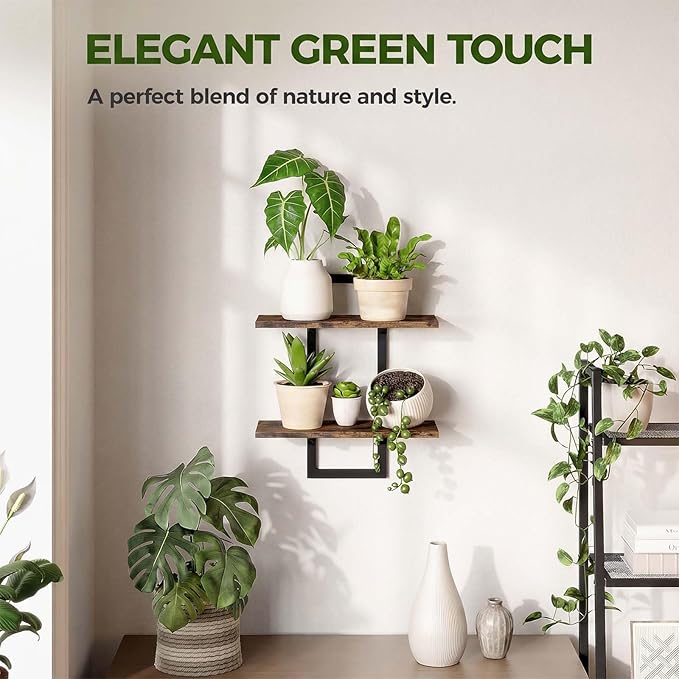 Bamworld Wall Planters for Indoor Plants Window Plant Shelves Vertical Plant Holder Wall Decor Plant Stand Indoor Floating Shelves for Plant Hangers for Living Room Bedroom Bathroom