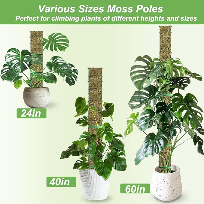 60"/40"/24" Metal Moss Pole, D Shape Sphagnum Moss Pole, Moss Poles for Climbing Plants, Monstera, Indoor Climbing Plants (2 Each of 60" 40" 24")