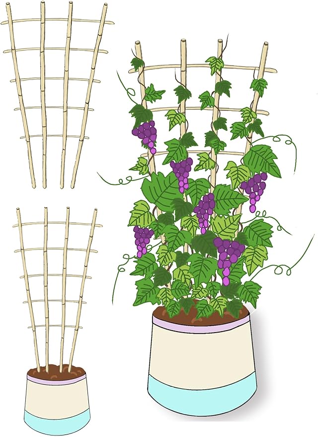Natural Bamboo Trellis, 4Feet,3Pack,Fan-Shaped Plant Support Trellis for Outdoor and Indoor Potted Climbing Plants,Vegetables, Cucumber, Tomato, Hoya,