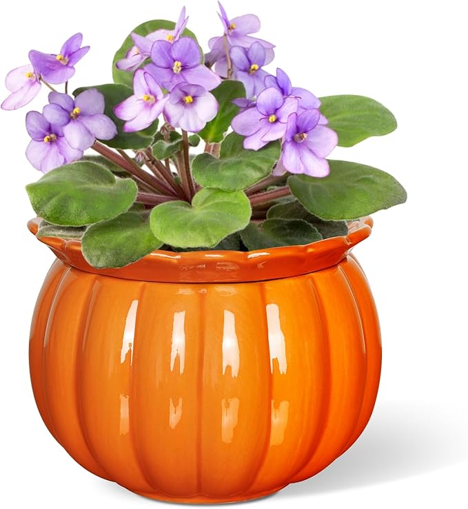 BUYMAX African Violet Pots, Halloween Pumpkin Plant Pots Ceramic Easy Self Watering Plant Pot for Busy Plant Lovers, Automatically Absorb Appropriate Amount of Water, Flower Pot Indoor