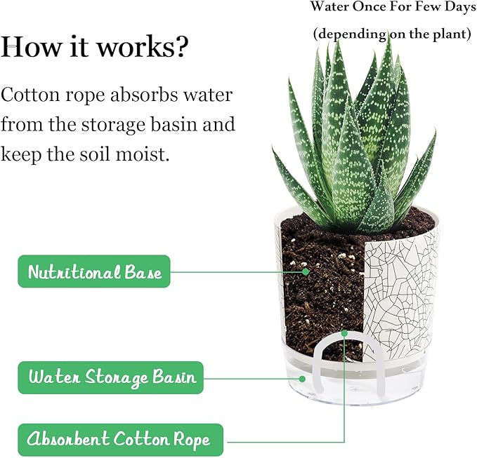Self Watering Pots for Indoor Plants, 6 & 5 & 4 Inch Stylish Flower Pots, Set of 3 Modern Planters with Self-Watering Feature (Crack Texture)