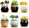Brajttt 2.1 Inch Succulent Pot with Drainage,Planting/Flower Pots,Small Planter for Mini Plant Ceramic Flowing Glaze Base Serial Set with Holes