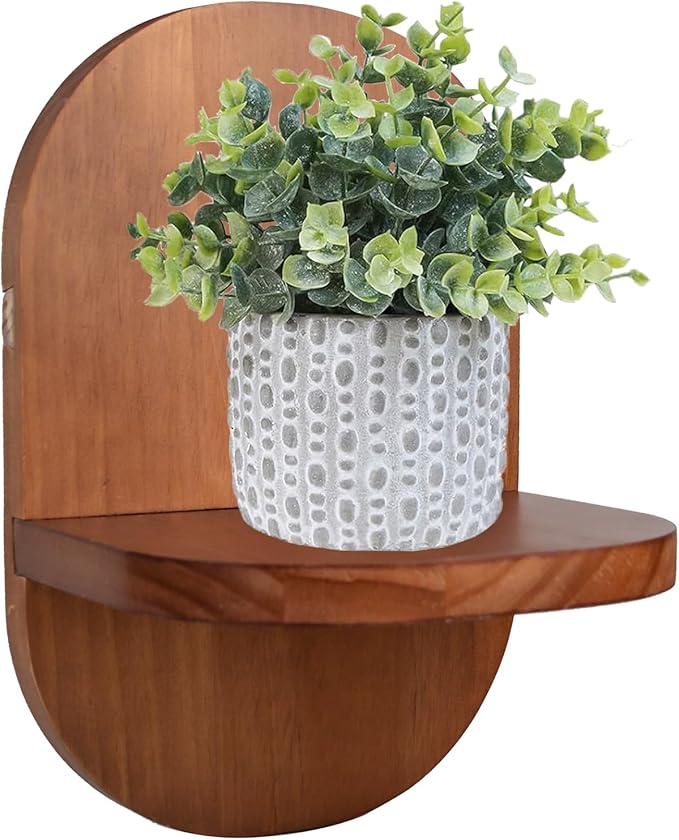 ARTORA Wall Mounted Plant Holder, Wooden Flower Pot Wall Hanging Shelf Black Indoor Outdoor Decorative Floating Shelves Planter Hanger Racks for Wall Bedroom Living Room Porch Balcony Decor (1 Pack)