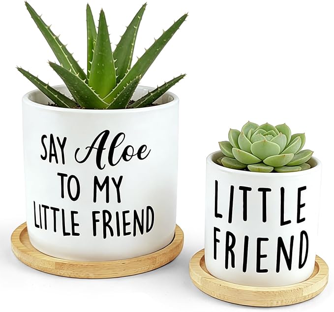 Say Aloe to My Little Friend Planter Pot, Funny Plant Pots, Aloe Plant Pot Succulent Pots with Tray Set of 2 Flower Pots Indoor Pot - Without Plants, Office Home Windowsill Gifts (No Plant)