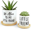 Say Aloe to My Little Friend Planter Pot, Funny Plant Pots, Aloe Plant Pot Succulent Pots with Tray Set of 2 Flower Pots Indoor Pot - Without Plants, Office Home Windowsill Gifts (No Plant)