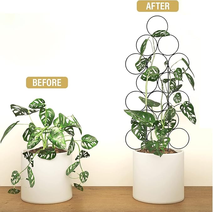 Trellis for Climbing Plants Indoor, 3 Pack Stackable Garden Trellis for Potted Plant Support, 14.2 Inch Small Houseplant Metal Wire Trellis for Vine Ivy Rose Plant Trellis (Black)