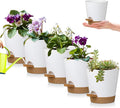 5 Pack 5 inch Self-Watering Pots, African Violets Planter with Drainage Holes and Reservoir, White Brown Plastic Planter for Indoor Outdoor Plants Flowers and Houseplants White Brown, 5 inch 5 pcs