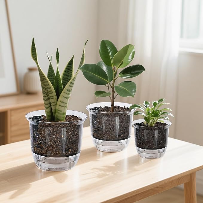 Plant Pots 6 inch Set of 3, Self Watering Pots for Indoor Outdoor Plants Flowers, Self Watering Planters with Reservoir, Drainage Hole and Absorbent Cotton Rope (3 Large)