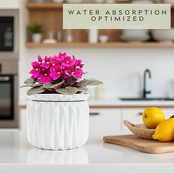 6 Inch African Violet Pots Self Watering, Ceramic Planter with Water Reservoir and Fill Lines, 4 Inch Opening, Indoor Flower Pot, Holds 3 Weeks of Water (2 Pack White)