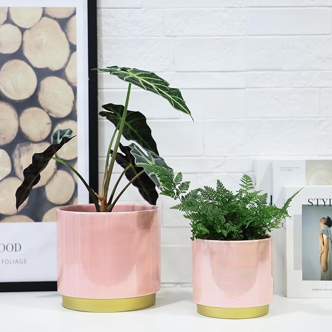 Gepege Pink Indoor Plant Pots for Plants, Ceramic Planter with Drainage Hole, 7.6 Inch +6 Inch 2pcs Succulent Orchid Flower Pot - Rainbow Pearl Glaze