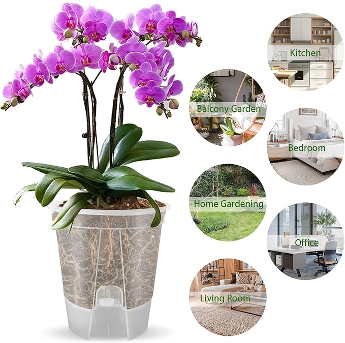 Cdd's Path 5-Pack 6 Inch Self Watering Naked Root Planter Pots with Drainage Holes & Reservoir, Plastic Planters with Air Pipes for Indoor Outdoor Plants，Clear