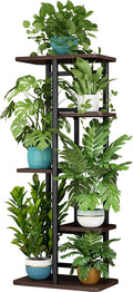 LINZINAR Plant Stand 5 Tier 6 Potted Indoor Plant Shelf Multiple Stands for Garden Corner Balcony Living Room