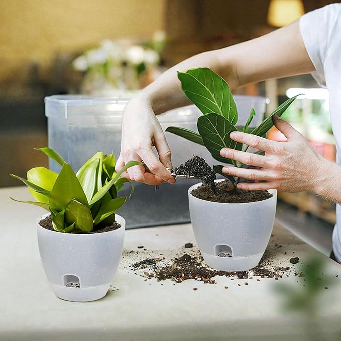 Self Watering Pots Set, 5 Pack 6 Inch Self Watering Pots for Indoor Outdoor Plants, Plastic Planter with Drainage Holes and Deep Reservoir for African Violet, Spider, Orchid