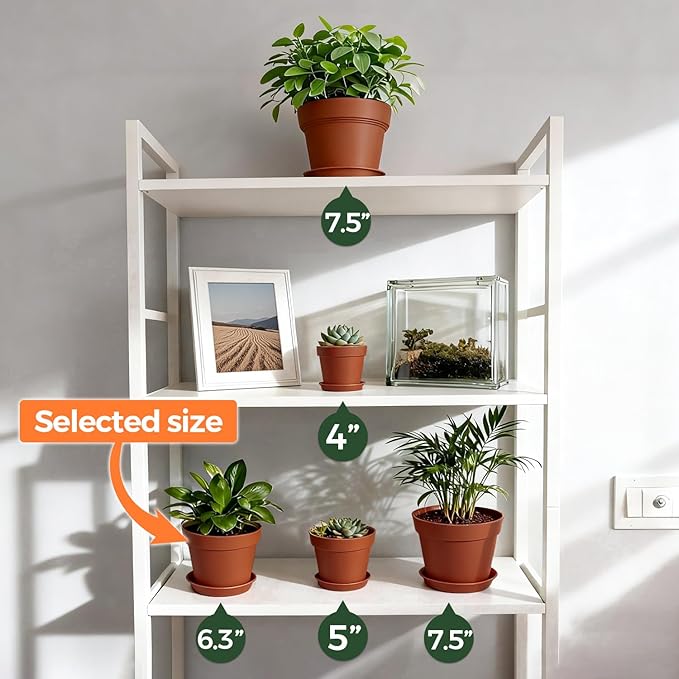 T4U 6 Inch Plant Pot 8-Pack, Plastic Planter with Drainage Hole and Saucer, Decorative Nursery Pots Bulk for African Violet, Snake Plant, Succulent, Herb and Plants Indoor (8 Pcs 6" Pots)