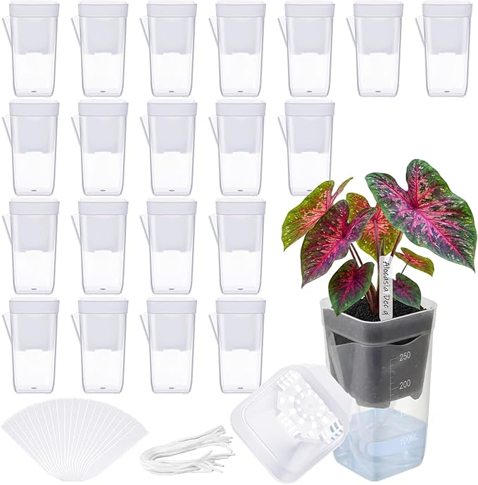 LemonRoad 20 Pack 2.5" Small Self Watering Pots for Indoor Plants with 20 Plant Label Mini Clear Plastic Planters with Water Level and Drainage Holes for Propagation, Succulents, and African Violet