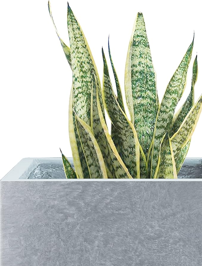 Kante 15.7" H Tall Rectangular Concrete Planters, Outdoor Indoor Lightweight Plant Pots with Drainage Hole and Rubber Plug, Modern Style for Home Garden Patio, Slate Gray