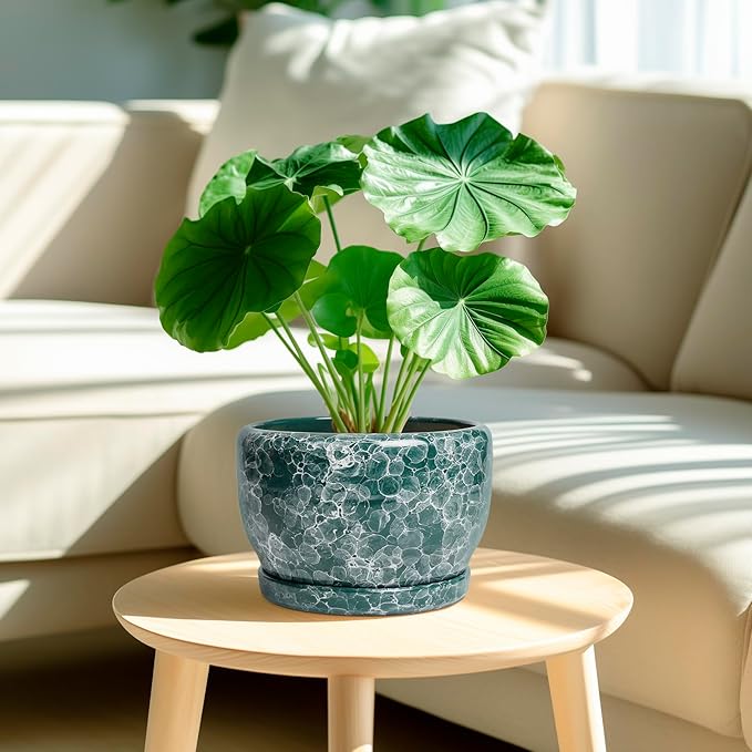 SQOWL 8 Inch Plant Pot - Ceramic Planter for Indoor Plants, Decorative Flower Pot with Drainage Hole and Saucer, Round Planter Outdoor, Room Patio Decor, Garden Gifts for Women, Green