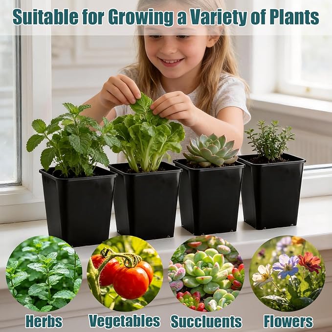 Nursery Pots 6 Inch 40 Pcs, Plastic Seed Starting Pot with Drainage Holes, Sturdy Seedling pots for Planting, Cuttings (Black)