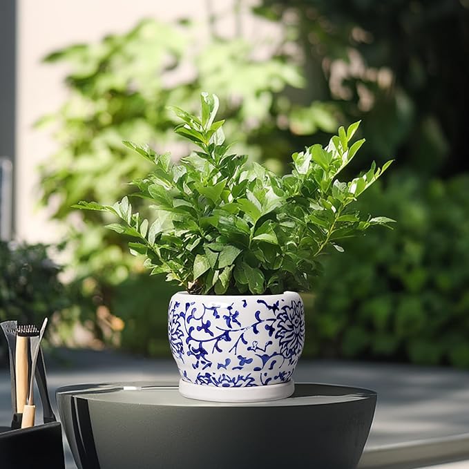 SQOWL 6 Inch Planter - Ceramic Plant Pots Indoor with Drainage Hole and Saucer, Round Ceramic Flower Pot Outdoor, Porcelain Decorative Planter, Backyard Decor, Gifts for Plant Lovers, Blue and White
