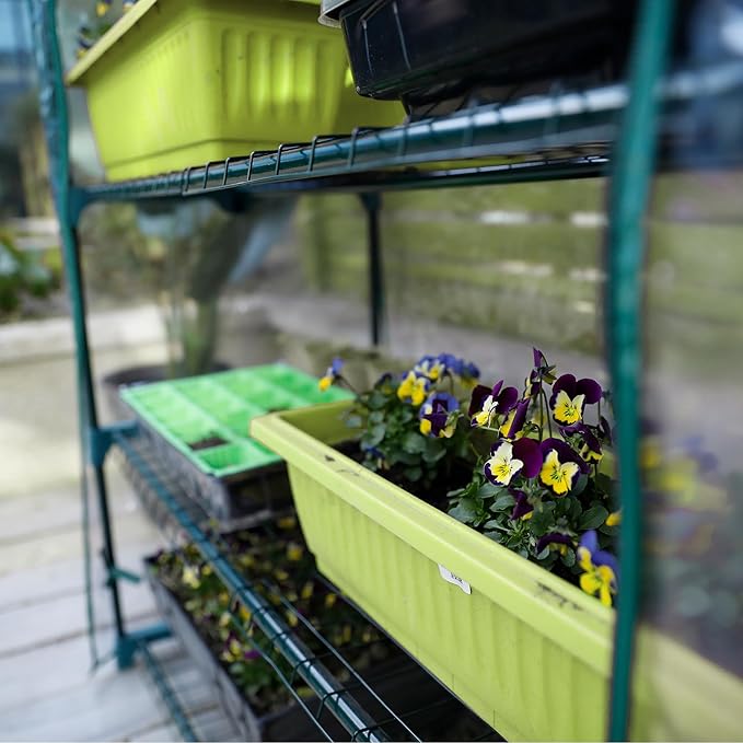 Worth Garden 50% Extra Wide Mini Greenhouse 5 Tier Portable Plant Green House 40in Wide -Sturdy Gardening Shelves with PVC Cover - Indoor & Outdoor Wheatgrass Growing - 19″x40″x75″