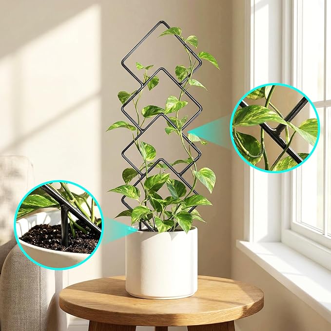 Indoor Trellis for Climbing Plants: 3PC Small Garden Metal Trellis for Vine Ivy Hoya Houseplants Flower Potted Plant Outdoor