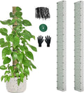 60" Metal Moss Pole, D Shape Sphagnum Moss Pole, Moss Poles for Climbing Plants, Monstera, Indoor Climbing Plants (2Pcs 60")