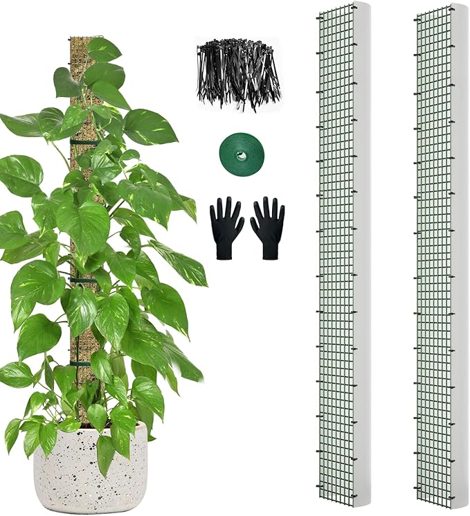 60" Metal Moss Pole, D Shape Sphagnum Moss Pole, Moss Poles for Climbing Plants, Monstera, Indoor Climbing Plants (2Pcs 60")