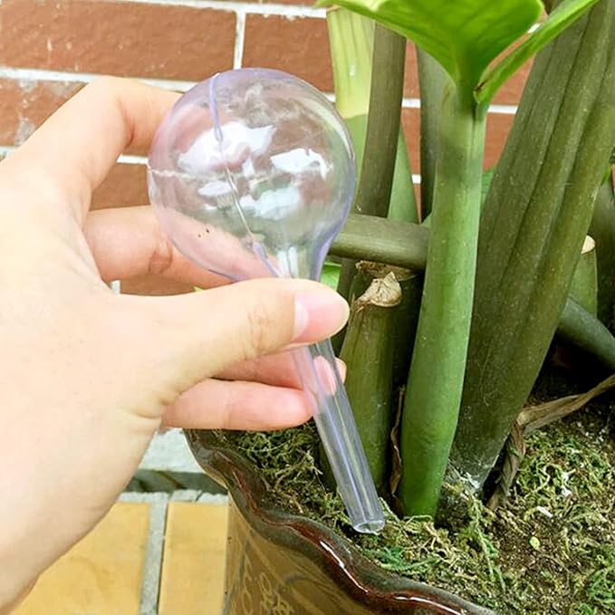 8 Pcs Clear Plant Watering Globes,Plastic Self Watering Bulbs Ball,Garden Water Device for Plant Indoor Outdoor(Small)