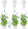 Indoor Plant Trellis for Climbing Plants, Stackable Garden Trellis for Potted Plants, Small House Plant Trellis for Vine Ivy Flower Plant Support Outdoor DIY Metal Trellis 3 Pack, Bird Design