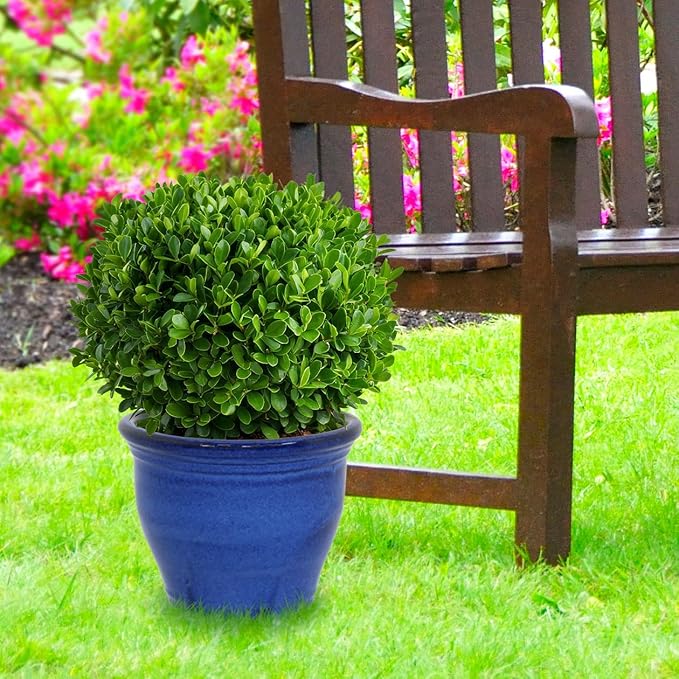 Sunnydaze Large Ceramic Plant Pot - Round Outdoor Glazed Ceramic Planter Pot with Drainage - Studio - Imperial Blue - 14.5"