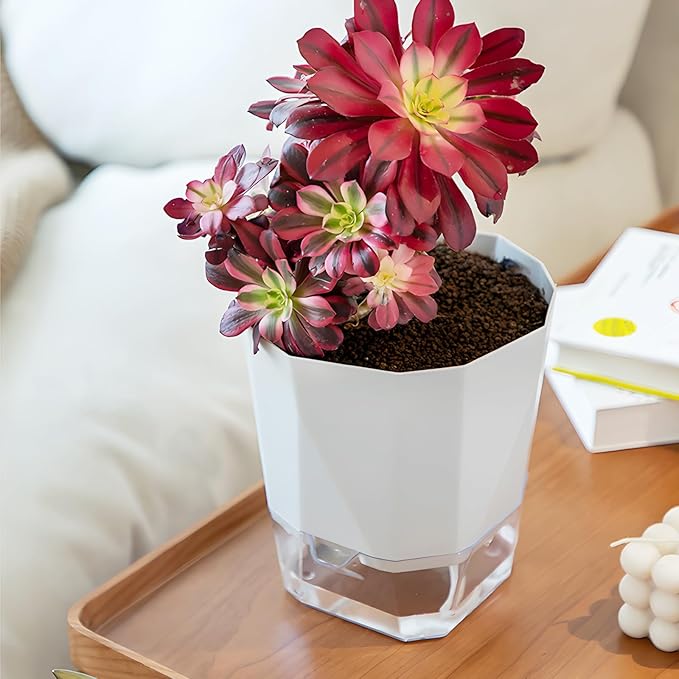 3 Pack Self Watering Flower Pots 6.5 Inch, Plant Pots for Indoor Outdoor, Self Watering Planters with Wick Rope and Clear Reservoir