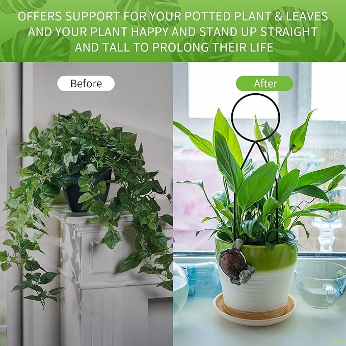4 Pcs Small Metal Trellis for Potted Plants,Gold Trellis for Climbing Plants Indoor,Mini Trellis for Potted Plant Support Stake House Plant Trellis for Garden Potted,Hoya,Pothos,Flower,Monstera(Black)