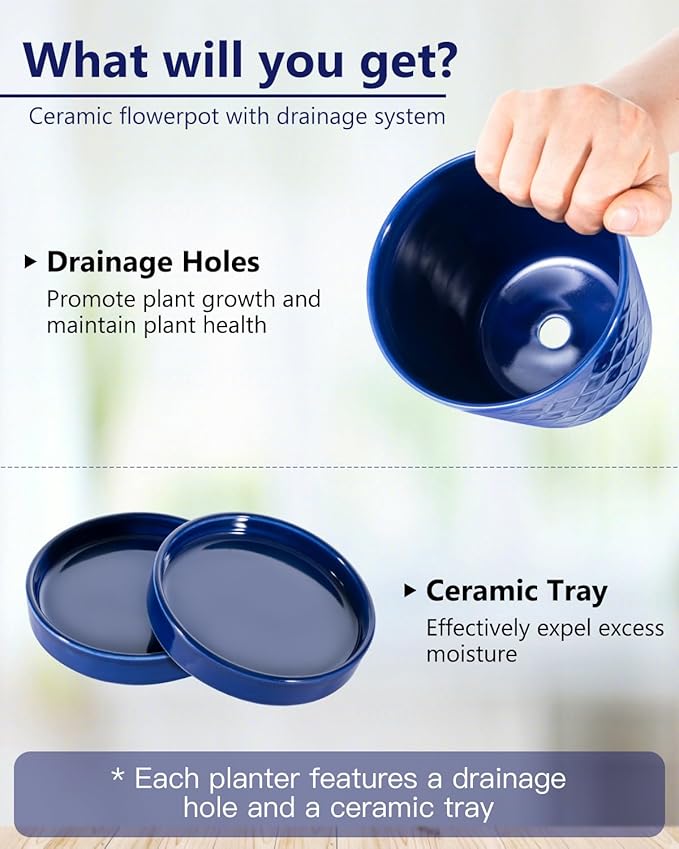 BUYMAX Ceramic Plant Pots –5 inch Indoor Flower Pot with Drainage Hole and Ceramic Tray - Gardening Home Desktop Office Windowsill Decoration Gift, Set of 4-Plants NOT Included(Blue)