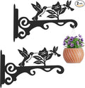Elegant Bird Pattern Wall Hooks - 10/12/14 Inch Metal Plant Hangers for Indoor & Outdoor - Rust-Resistant Bracket for Plants, Feeders, Chimes, Lanterns (2, Black, 10 inch)
