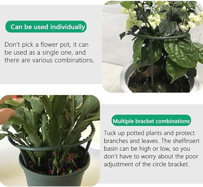 Mwellewm 10 Pack Plant Support Plant Stakes Metal Half Round Search Support Ring Small Plastic Cage Holder Short Stem Flower Pot Climbing Trellis for House Flower Vegetable Indoor Leafy(5.7 x 5.9nch)
