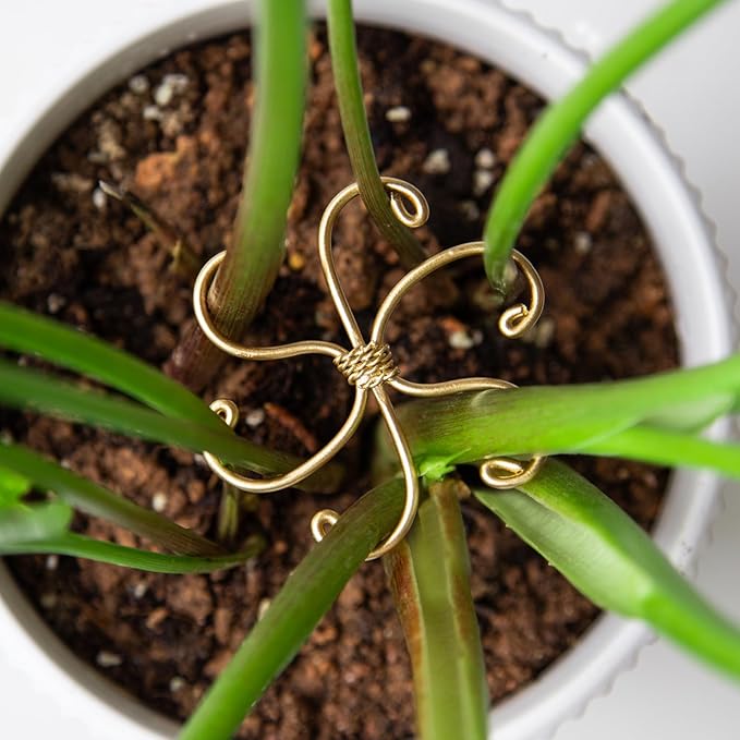 Monstera Plant Stem Support Set - 5 Durable Stabilizers (2.75"x2.75") for Indoor Plants, Leaf Holder & Cactus Stake - Keep Monstera Healthy & Upright - Ideal Gift for Plant Lovers