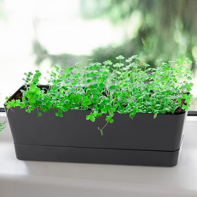 Window Box Planter with Tray, 12" Rectangle Plant Pot, Pack of 3 (Black)