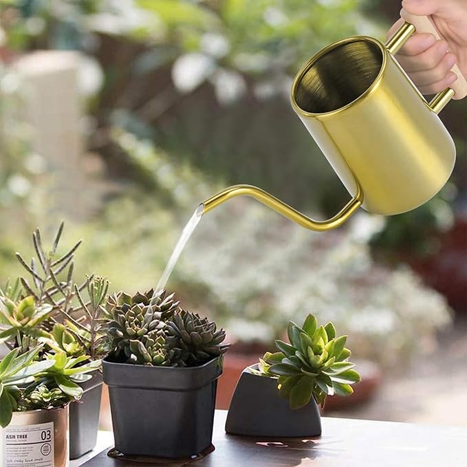 Watering Can Indoor Plants, 35 oz/1000 ml Metal Stainless Steel Watering Can Pot with Long Spout for Indoor House Plants Bonsai Outdoor Garden Flower Decorative (Gold)