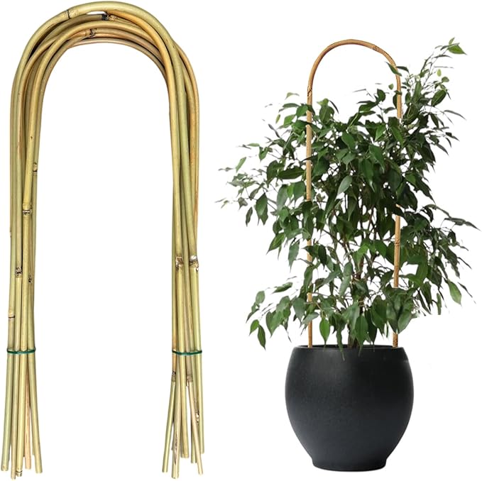 20 Pack Bamboo U Trellis for Potted Plants - 16 Inch U-Shaped Plant Support Hoop, Heavy-Duty Arch Stake for Climbing Vines Cucumbers, Indoor/Outdoor Rustic Garden Training Frame
