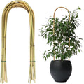 20 Pack Bamboo U Trellis for Potted Plants - 16 Inch U-Shaped Plant Support Hoop, Heavy-Duty Arch Stake for Climbing Vines Cucumbers, Indoor/Outdoor Rustic Garden Training Frame